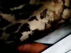 النا Kushka برنده سک ...