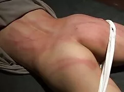 خواننده می یابد که ک ...
