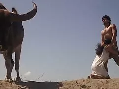 شلخته شگفت انگیز سکس ...