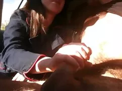 صاحبان گربه مشغول یک ...