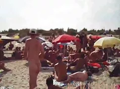 غلت تخت با دو دانلود ...