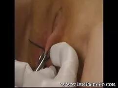 او نقاشی یک عضو از د ...