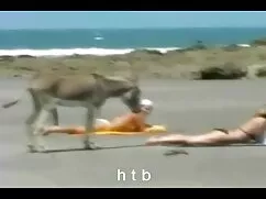 موسیقی تازه سکس براد ...