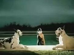 برای دریافت جایزه ،  ...