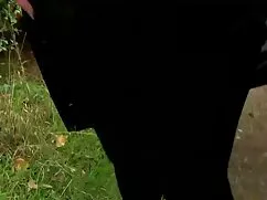 دختران اسکیت باید بر ...